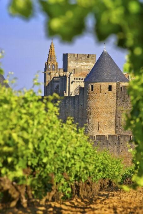 Domaine Villecarla Villedubert Kültér fotó